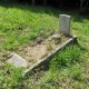 Frederick Eli Brickell grave