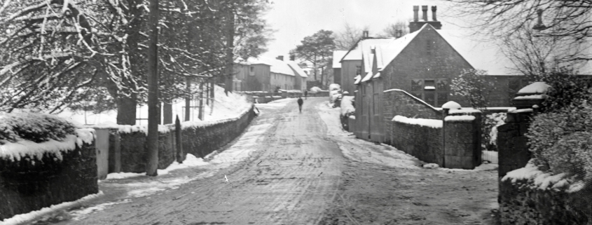 Butts Knapp, Cann, Shaftesbury